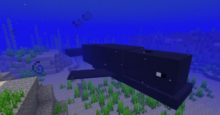 Ocean Expansions  Minecraft 1.16.4