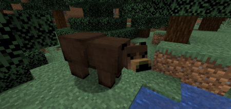  Grizzly Bear  Minecraft 1.16.5