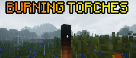  Burning Torches  Minecraft 1.16.4