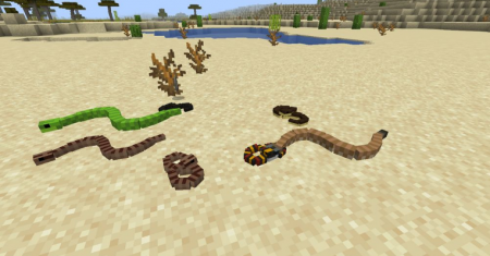  Untamed Wilds  Minecraft 1.16.1