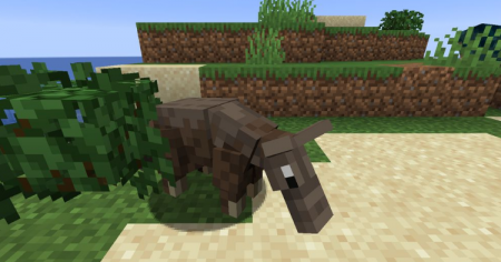  Untamed Wilds  Minecraft 1.16.1