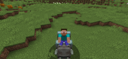  Ravage & Cabbage  Minecraft 1.16.4