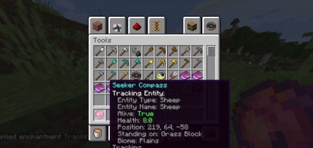  Seeker Compass  Minecraft 1.16.1