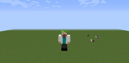  Costumes  Minecraft 1.16.4