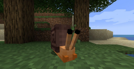  Lovely Snails  Minecraft 1.16