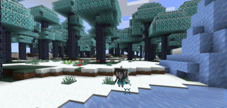  Feywild  Minecraft 1.16.4