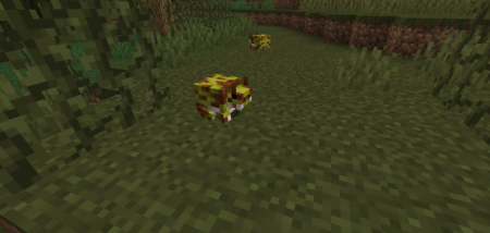  Unnamed Animal  Minecraft 1.16.4