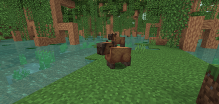  Unnamed Animal  Minecraft 1.16.5