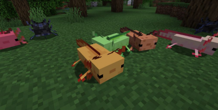  More Axololts  Minecraft 1.16.5