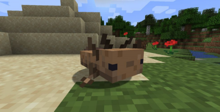  More Axololts  Minecraft 1.16.5