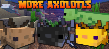  More Axololts  Minecraft 1.17