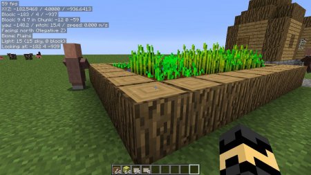  MiniHUD  Minecraft 1.17