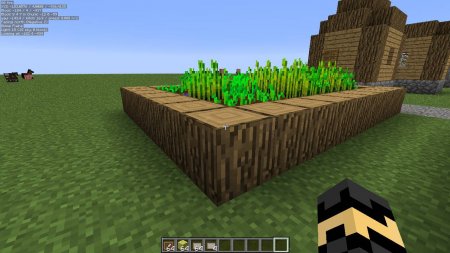  MiniHUD  Minecraft 1.17