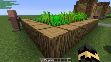  MiniHUD  Minecraft 1.17