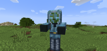  Zombified  Minecraft 1.16.4