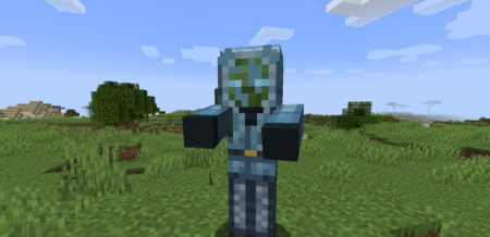  Zombified  Minecraft 1.17