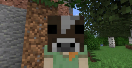  Masks Hats  Minecraft 1.16.4