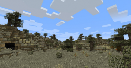  Biomes O Plenty  Minecraft 1.17