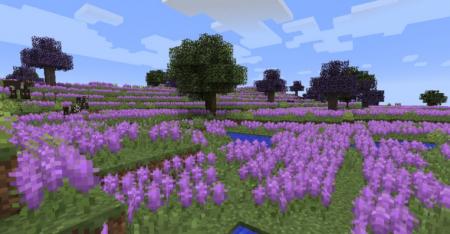  Biomes O Plenty  Minecraft 1.17