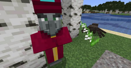  Enchant with Mobs  Minecraft 1.16.5