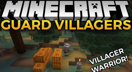  Guard Villagers  Minecraft 1.17