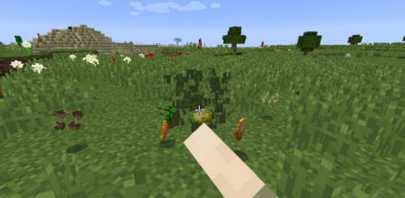  Seed Drop  Minecraft 1.17