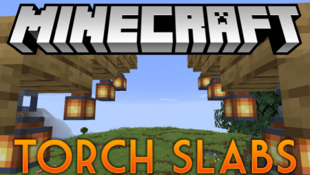  Torch Slabs  Minecraft 1.17