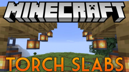  Torch Slabs  Minecraft 1.17.1