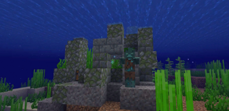  Conduits Prevent Drowned  Minecraft 1.17