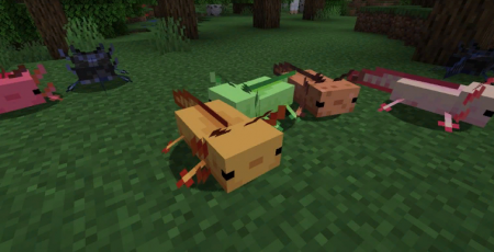  More Axololts  Minecraft 1.16.4