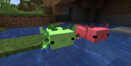  More Axololts  Minecraft 1.16.4