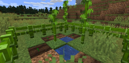  Bamboo Everything  Minecraft 1.17.1