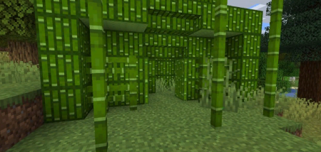  Bamboo Everything  Minecraft 1.17.1