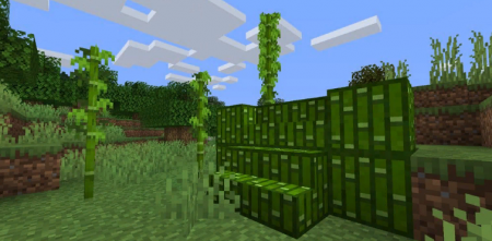  Bamboo Everything  Minecraft 1.17.1