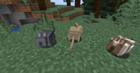  Vanilla Degus  Minecraft 1.17