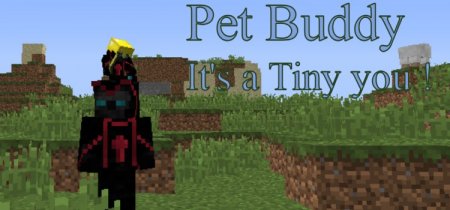  Pet Buddy  Minecraft 1.16.5