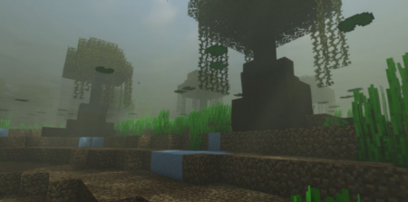  Biome Enchancements  Minecraft 1.16.4