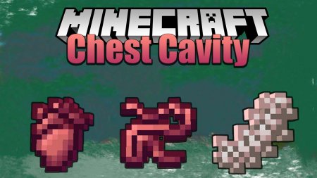  Chest Cavity  Minecraft 1.17