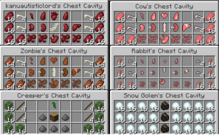  Chest Cavity  Minecraft 1.17