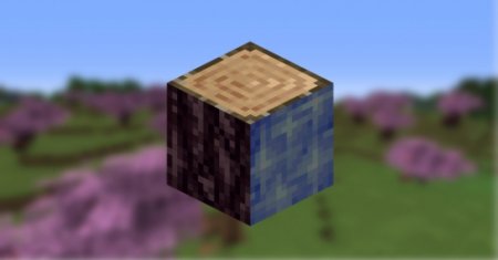  Arky's Environment  Minecraft 1.16.4