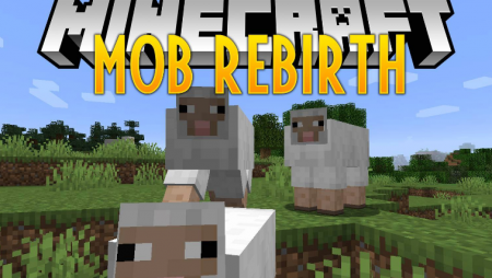  Mob Rebirth  Minecraft 1.16.5