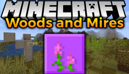  Woods and Mires  Minecraft 1.17