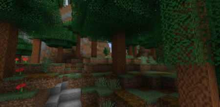  Woods and Mires  Minecraft 1.17