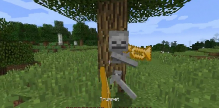  Trumpet Skeleton  Minecraft 1.17