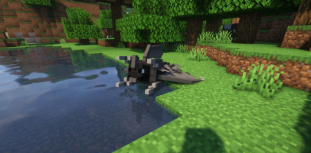  PetFish  Minecraft 1.16.4