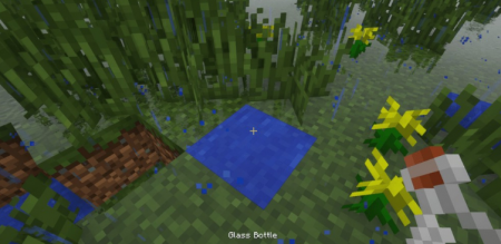  Puddles  Minecraft 1.16.4