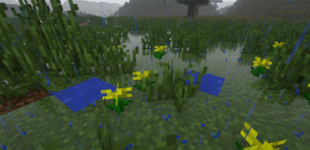  Puddles  Minecraft 1.16.4