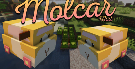  Molcar  Minecraft 1.16.4