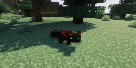  Shadews Foxes  Minecraft 1.17