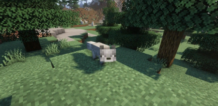  Shadews Foxes  Minecraft 1.17